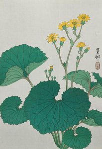 Bloemen van Japanse zilveren bladeren, Ohara Koson