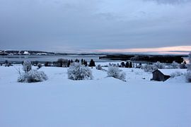 Icy field