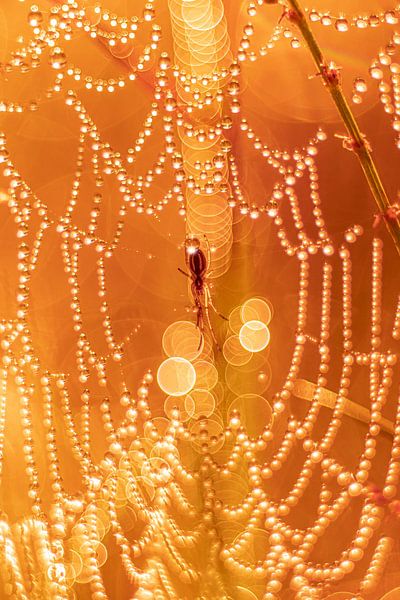 The Magic of Autumn by Yanuschka | Fotografie Noordwijk