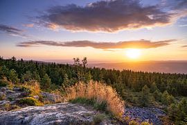 Blick zum Harzvorland von Steffen Henze