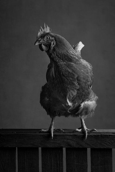 Poulet par Elles Rijsdijk
