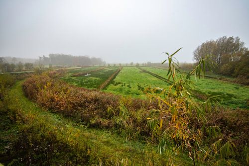 Autumn landscapes Haar-Zuijlens, Utrecht