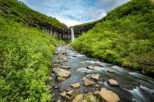 Svartifoss