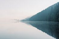 Foggy lake and mountains in the morning | travel photography in Germany | dark forest photo art prin by Milou van Ham thumbnail