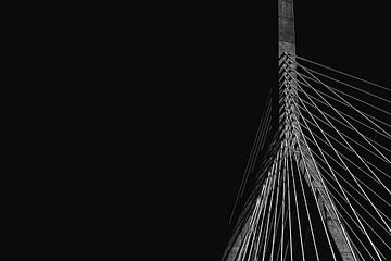 Bridge cables by Walljar