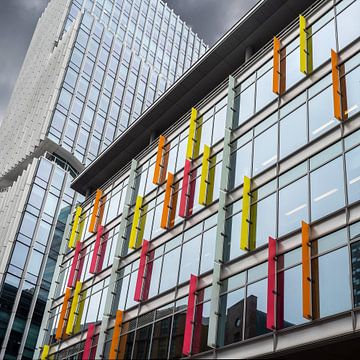 Amsterdam Zuidas sur Wil Crooymans