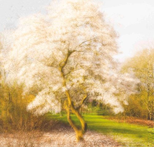 Pointillisme