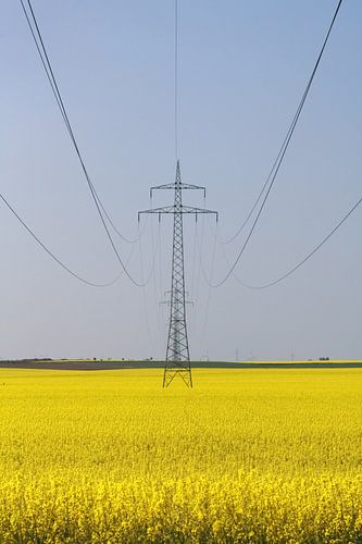 Un poteau électrique au milieu d'un champ de viol