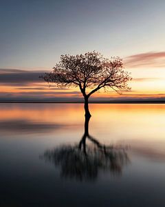 Der Atem der Natur