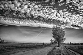 Der einsame Läufer von Gelein Jansen