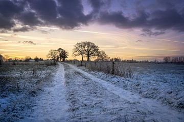 Vlaamse velden en wegje tussen het besneeuwde landschap van Mickéle Godderis