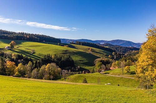 Black Forest near St. Peter in autumn by Werner Dieterich