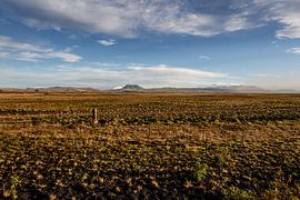 Iceland by Eric van Nieuwland