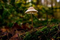 Light under the hat