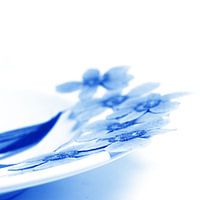 Delftsblauwe Bloemen - Bloem 25