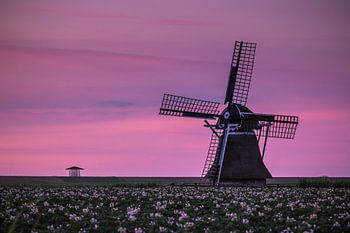 Zonsondergang in waddengebied