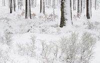 Een winters bos par Gonnie van de Schans Aperçu