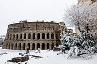 Winter in Rome van Michel van Kooten thumbnail