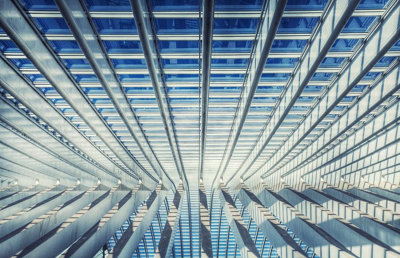 Gare Liège-Guillemins van Frits Vrielink