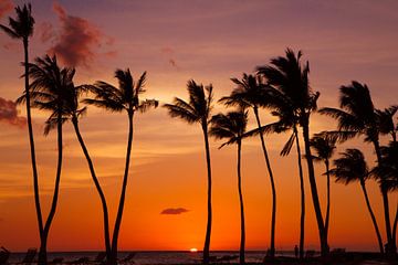 Zonsondergang Hawaii van Tessa Louwerens