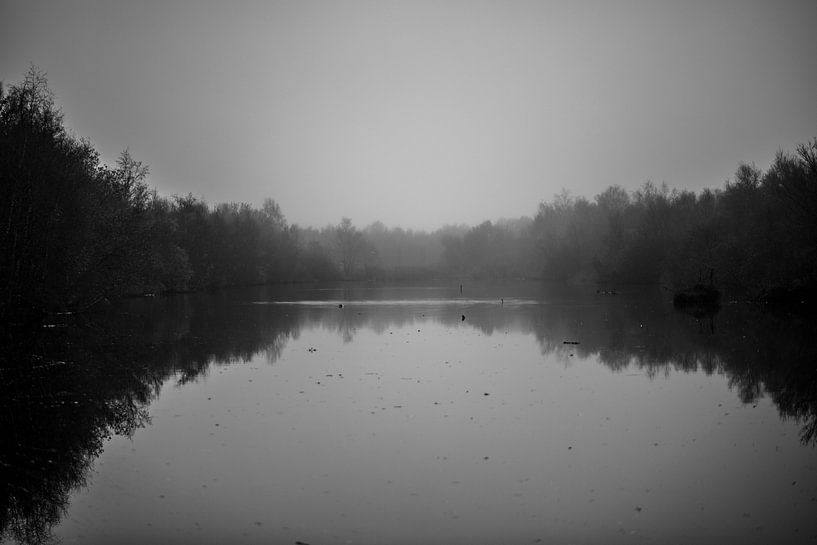 Friesland De Deelen in black and white 2 by anne droogsma