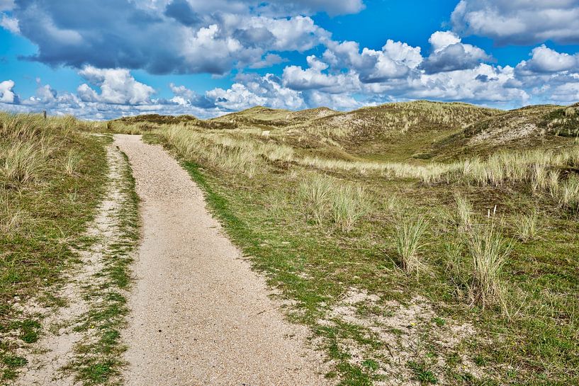 Julianadorp aan zee with the dune by eric van der eijk