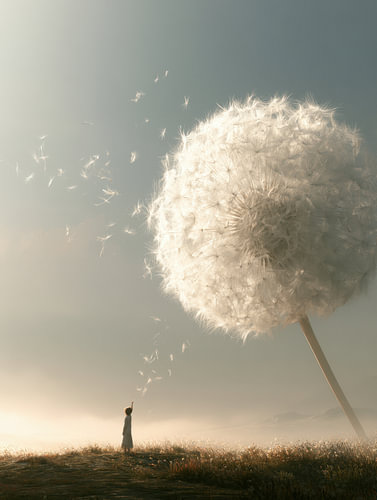 Magisch Minimalisme met Paardenbloem