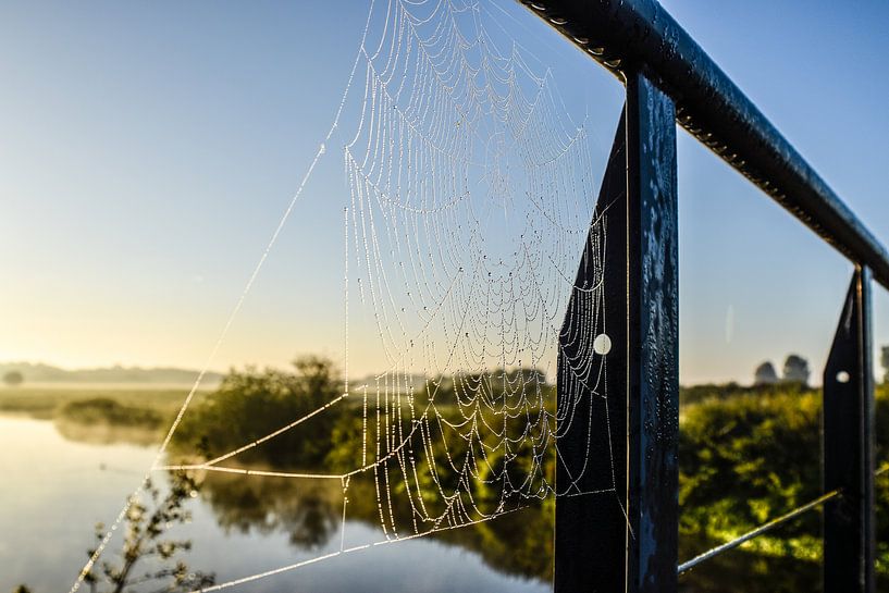 Door een spinnenweb gezien... van Marjo Kusters