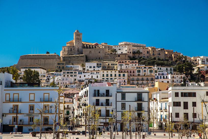 Cathedral of Ibiza by Alexander Wolff