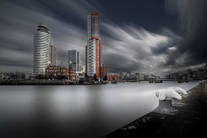 Zone portuaire de Rotterdam