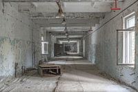 Gang Doega -3 Chernobyl