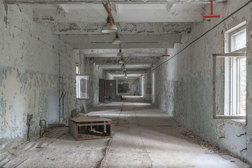 Gang Doega -3 Tschernobyl von John Noppen