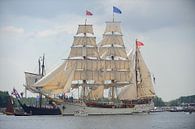 Tallship De Europa bij de parade van SAIL Amsterdam 2015 van Merijn van der Vliet thumbnail