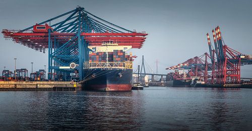 Container ship at the terminal with harbour cranes