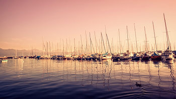 Coucher de soleil doré sur des voiliers au lac Léman