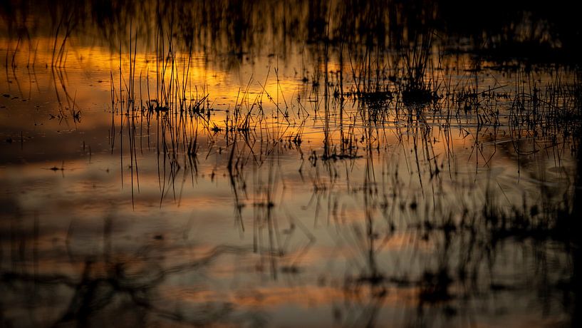 Frühlingsfahrt im Wasser, im Moment des Sonnenaufgangs von Hans de Waay