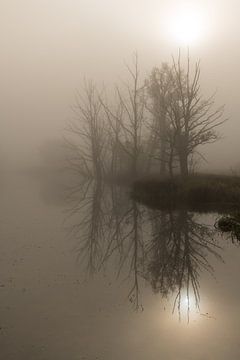 Morning mist by Denis Feiner
