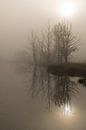 Morning mist by Denis Feiner thumbnail