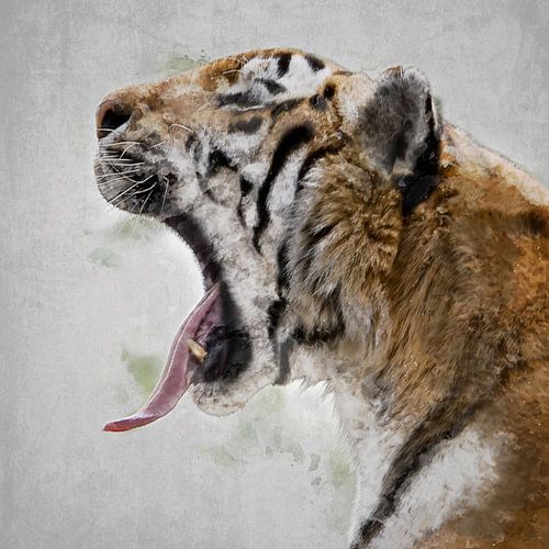Tigre sur Johan Zuijdam Digi Art