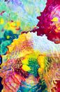 Colour Explosion by angelique van Riet thumbnail