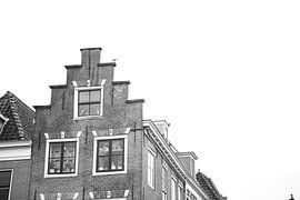 Gull on the roof by Erwin de Zwart