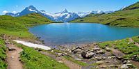 Wandelbestemming Bachalpsee vanuit Grindelwald Eerste, Berner Alpenn van SusaZoom thumbnail