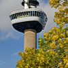 Herbstfarben am Euromast von Frans Blok