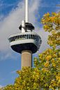 Autumn colours and the Euromast by Frans Blok - photos, art and other wall decoration thumbnail