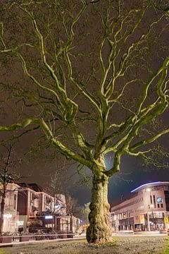 Stationsbaum von Jaap Ladenius