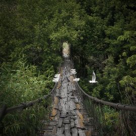 Portal by Vladyslav Durniev