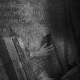 Echo urbain : superposition et réflexion en noir et blanc sur Dirk Lahuis