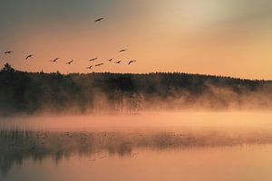 Sonnenaufgang mit Nebelbildung über einem See in Schweden, in der Morgendämmerung