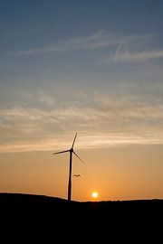 Windmill sunrise by Wendy Drent