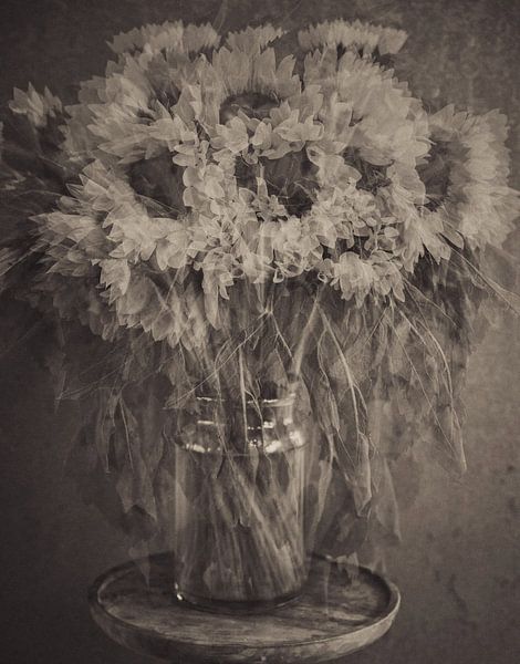Flowers part 414 by Tania Perneel